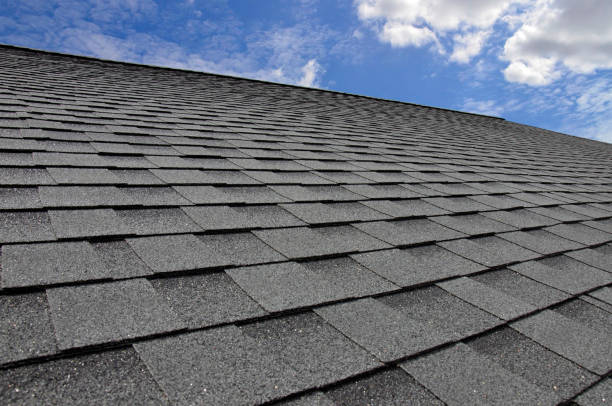 Best Roof Moss and Algae Removal  in Keewatin, MN